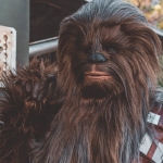 Afyonkarahisar-AFA-Kongre-Merkezi-Icin-Yeni-Ihale-Tarihi-14-Mayis-featured