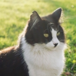 Bursa-Is-Dunyasinin-Aci-Kaybi-Hayri-Turkay-Vefat-Etti-featured