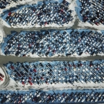 Hisse-Fonlari-Yeni-Yila-Damga-Vurdu-Ilk-Hafta-Getiride-Lider-featured