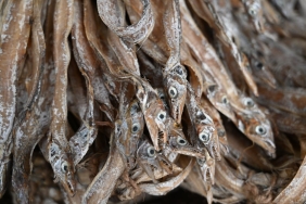 Sakarya8217dan-Afetlerde-Kesintisiz-Iletisim-Guvencesi-featured